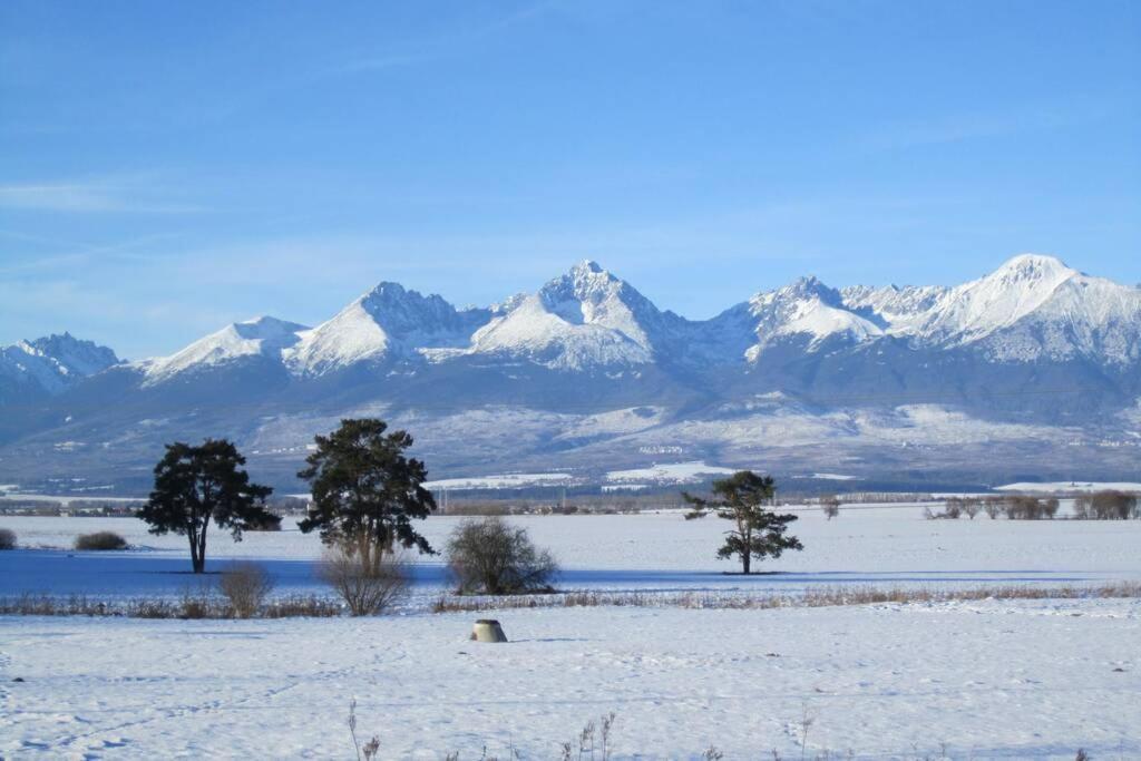 Tatra Mountains View Open-Space Apartment, N.92 포프라트 외부 사진